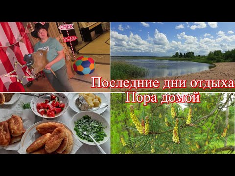 Видео: Последние дни отпуска. Отдых заканчивается. Домой через Москву. Пионы и жасмин в цвету. Вкусный обед