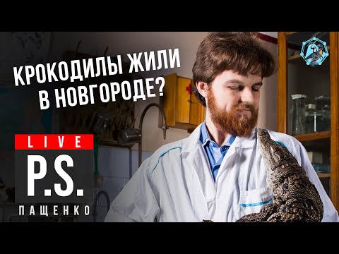 Видео: Крокодилы жили в Новгороде? Дмитрий Пащенко #Постскриптум