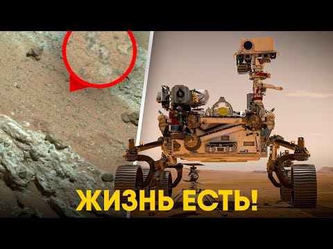 Видео: NASA нашла следы жизни на Марсе!