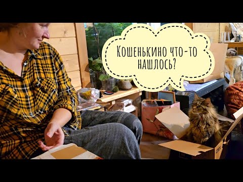 Видео: Распаковка посылочек из дальних далей! Кошка Морошка помогает, Артём снимает, я радуюсь!