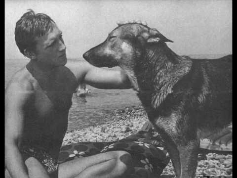 Видео: Высоцкий - Баллада о ненависти - Торопись! Тощий гриф