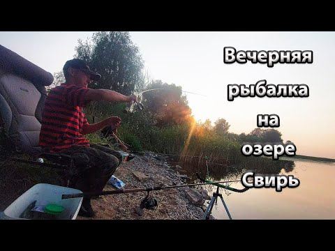 Видео: Вечерняя рыбалка на озере Свирь.