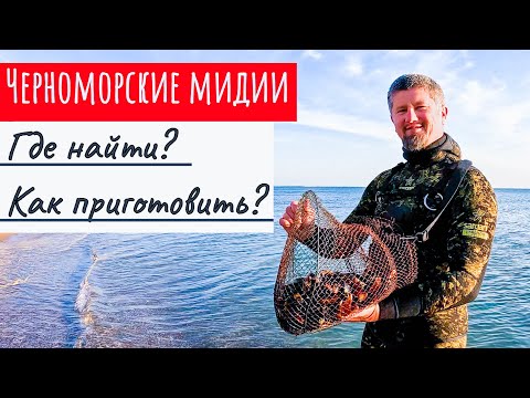 Видео: Собрали и приготовили черноморские мидии. Подводная съемка. Простой и быстрый рецепт.