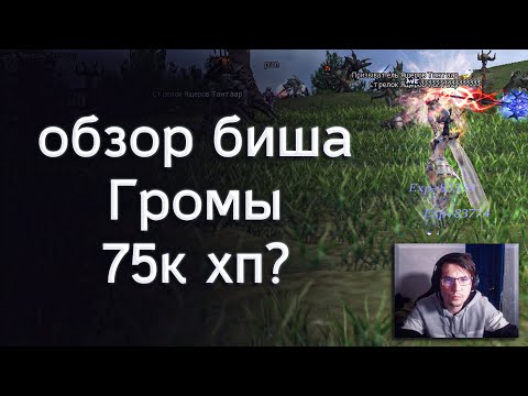 Видео: 75 000 хп на бише Грома обзор | lineage 2 essence 2022