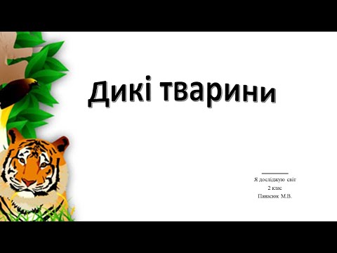 Видео: Дикі тварини  Різновидності тварин