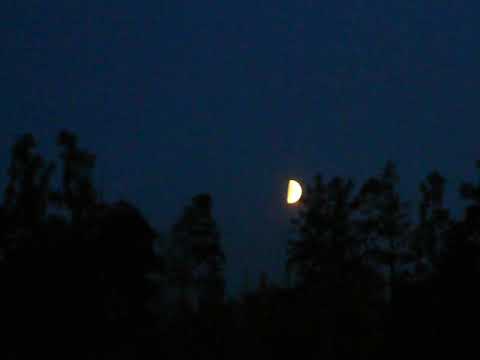 Видео: Ориентирование по Луне и часам (практический пример 1)