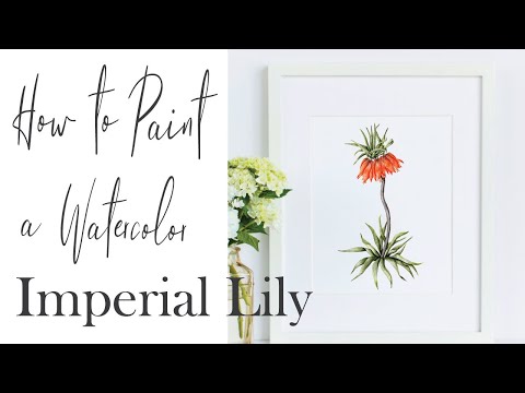Видео: Как нарисовать акварелью цветок императорской лилии | Мастер-класс по ботанической живописи