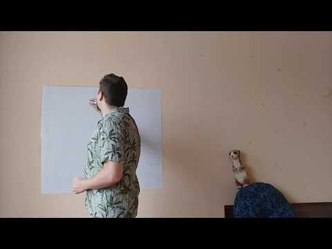 Видео: (9кл) Звук (част 1/2)