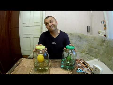 Видео: Настойка Висельник