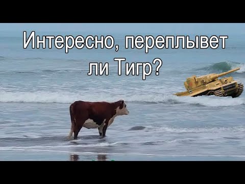 Видео: Турнирные игры MoW2 12.10 от лица спектатора.