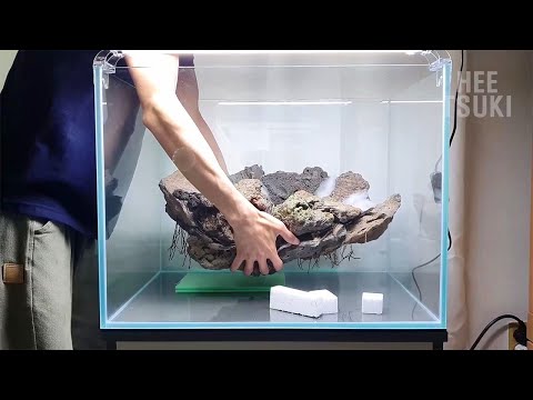 Видео: Мужчина построил потрясающий натуральный аквариум у себя дома [Процесс строительства] Глубокое море