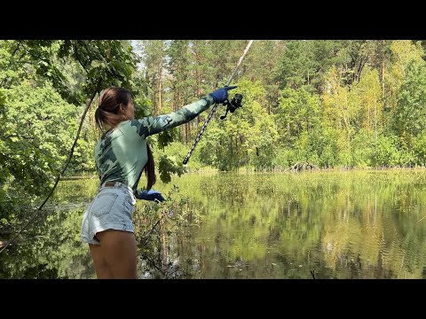 Видео: Рибалка на дикого карася!