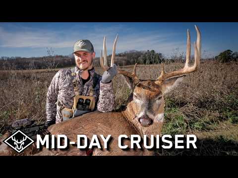 Видео: Mid-Day CRUISER | Мой САМЫЙ БОЛЬШОЙ олень из Миннесоты...