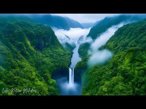 Видео: Музыка лечит сердце и сосуды🌿 Успокаивающая музыка восстанавливает нервную систему, расслабляя #2