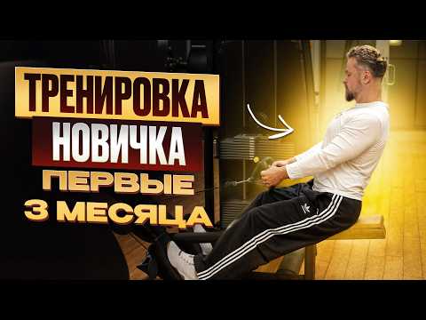 Видео: САМАЯ рабочая тренировка ДЛЯ НОВИЧКОВ! / НАЧНИ эффективно ходить в зал уже с 1 ТРЕНИРОВКИ!