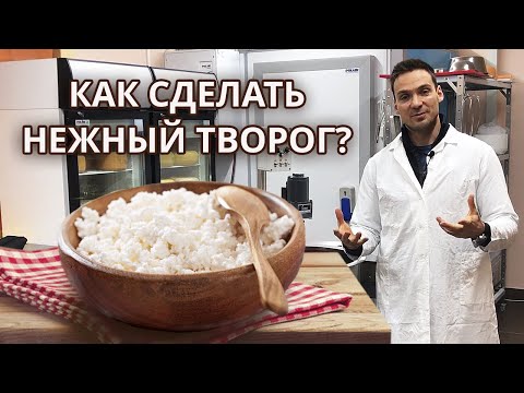 Видео: Как сделать натуральный творог? | Полный процесс приготовления творога на ферме