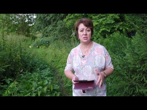 Видео: 632. В.О. - Что же такое ад и рай?