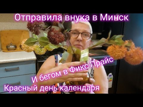Видео: Внук уехал, осталась снова одна.Как отмечали 7 ноября? Покупки из фикс прайса. 
