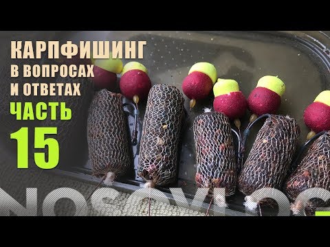 Видео: Карпфишинг в вопросах и ответах, А. Колесников, часть 15