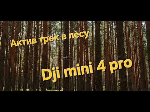 Видео: Dji mini 4 pro - активтрек в лесу!