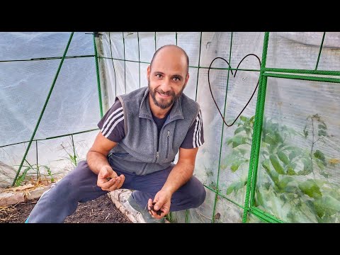 Видео: Земята под дланите ни | Почвени проби, планински лимони и любов към простото