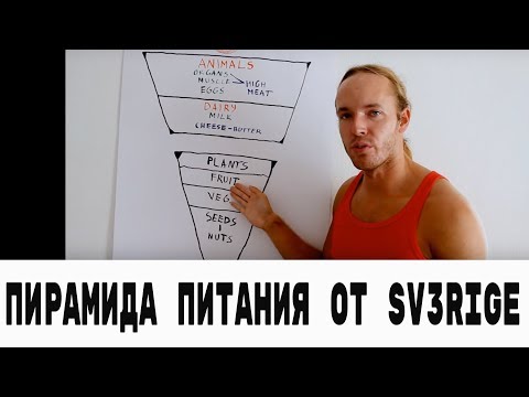 Видео: Пирамида питания на карнивор диете (Sv3rige)