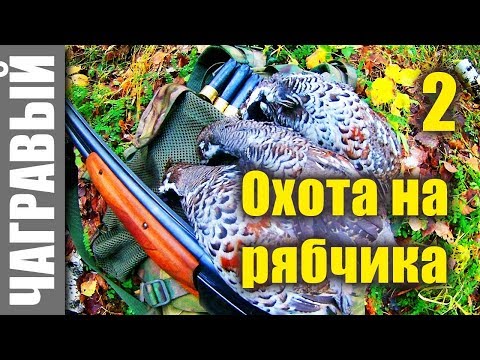 Видео: Охота на рябчика с манком - 2. Hunting for a hazel grouse with a mank - 2.