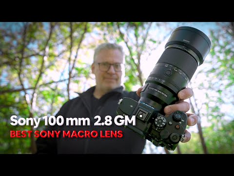Видео: Является ли Sony 100 мм лучшим макрообъективом?