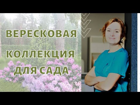 Видео: Вересковая коллекция для сада