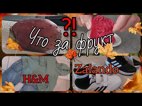 Видео: 🇩🇪 ОПЯТЬ В МАГАЗИН /PENNY/KAKTUSFEIGEN ?! ПРОБУЮ В ПЕРВЫЙ РАЗ/ РАСПАКОВКА ИЗ H&M И ZALANDO