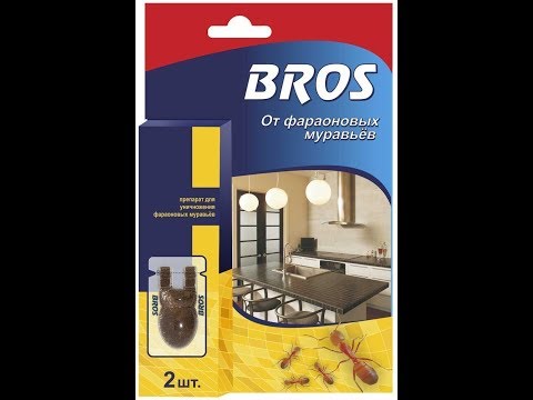 Видео: Как избавиться от домашних муравьев . Очень мощное средство .