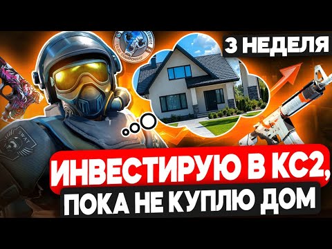 Видео: ИНВЕСТИРУЮ В СКИНЫ CS2, ПОКА НЕ КУПЛЮ ДОМ! РЕЗКИЙ РОСТ РЫНКА КС2! 3 НЕДЕЛЯ