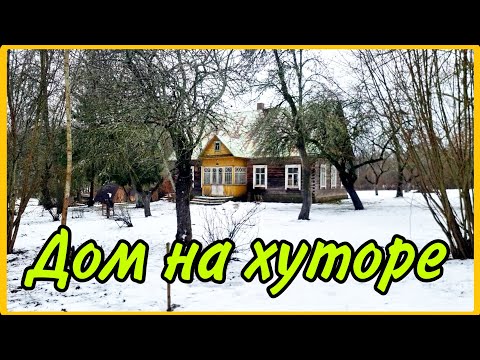 Видео: Потолок готов. Небольшое путешествие. #хочувдеревню