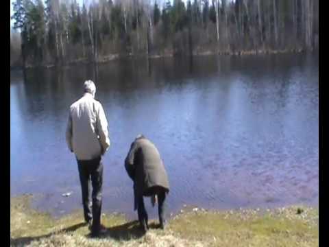 Видео: Учебный центр Лосвидо.