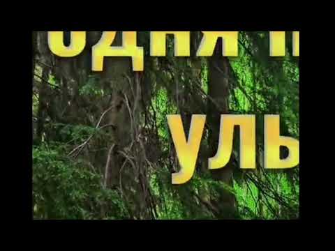 Видео: Gudvin - А я сегодня просто буду пить!
