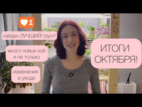 Видео: ИТОГИ ОКТЯБРЯ: нашла ЛУЧШИЙ грунт, изменения в уходе, новые ХОЙИ (очень! много) и не только