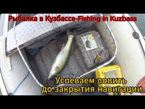 Видео: Успеваем ловить на Томи, до закрытия навигации.