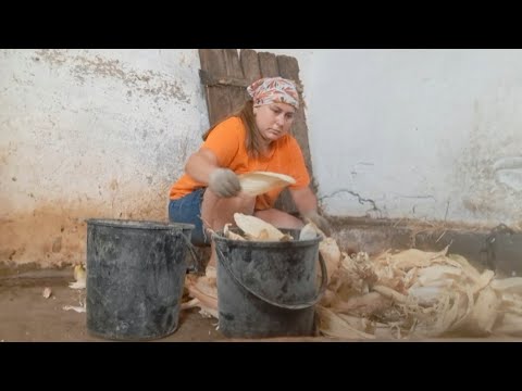 Видео: Молчать всем, спит дитя !