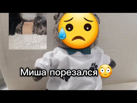Видео: 😮Миша поцарапал лапку😮было больно😟