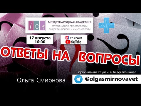 Видео: Ответы на вопросы. Выпуск от 17.08.2025
