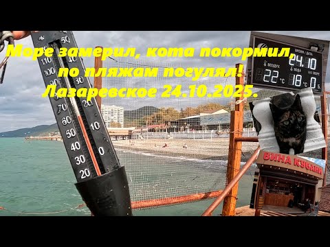 Видео: Море замерил, кота покормил, по пляжам погулял. Лазаревское 24.10.2025. Тепло!