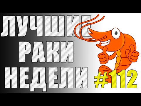 Видео: ЛРН выпуск №112. СУПЕР-ТАКТИКА ДЛЯ ЛТ И ПУКАЮЩИЙ КАМЕНЬ [Мир Танков]