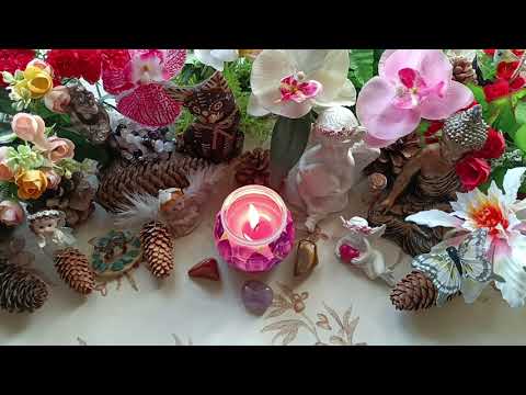 Видео: Новини и съвети❤️🍀🌹🍀❤️