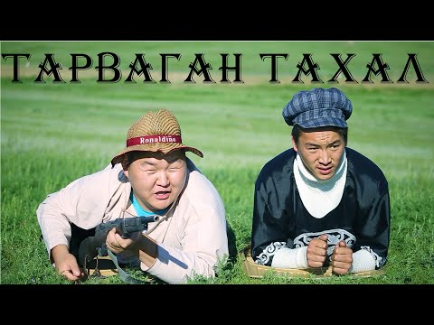 Видео: Тарваган тахал