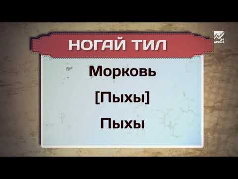 Видео: Разговорник (ногайский язык) (23.05.2018)