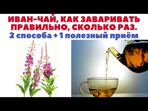 Видео: Иван-чай - как заваривать правильно. Сколько раз заваривать. 2 разных способа, заварки + 1 лайфхак.