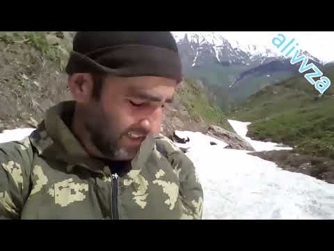 Видео: Alivvza. ХИРС АЗ МО ГУРЕХТ. HIRS AZ MO GUREHT.