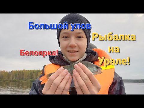 Видео: Водохранилище полное рыбы, богатый улов на спиннинг #рыбалка #рыба