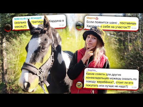 Видео: Каково быть КОНЕВЛАДЕЛЬЦЕМ? Вопрос-ответ