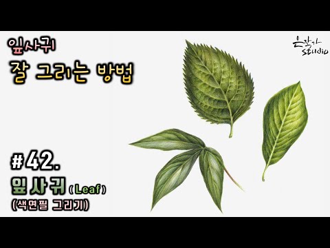 Видео: [Цветочная живопись / Ботаническое искусство] #42. Как хорошо рисовать листья (урок рисования цветов